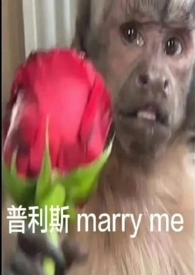 中卫窗帘哪里买正宗