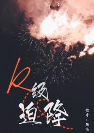 r级迫降图片